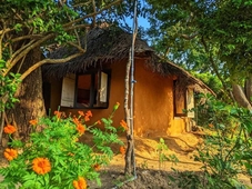 Yala Jungle Haven