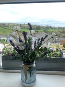 Madelines Accommodation