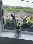 Madelines Accommodation