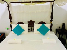 The Nature Palace Villa