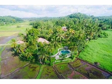 Romantic Honeymoon Villa Overlooking Rice Fields