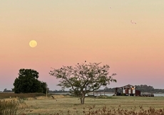 REFUGIO Natural Glamping