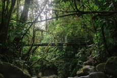 Ecolirios Boutique Hotel And Spa