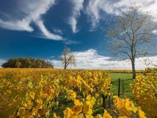 Chateau du Palanquey & SPA