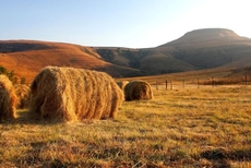 Montusi Mountain Lodge