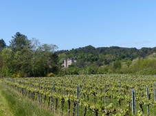 Domaine des Vans - Terres de France
