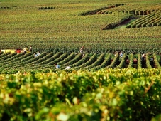 ibis budget Chateau-Thierry