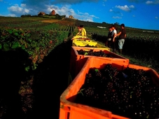 ibis budget Chateau-Thierry