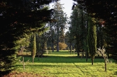 Le Domaine de Saint Veran