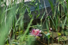 Logis Hotel le Fiacre