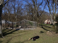 Les Chambres d'hotes - La Faisanderie