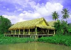 Mango Home Riverside