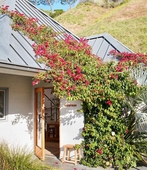 The Surfrider Malibu