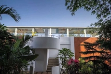 Magnolia by Da Alohas El Arbol