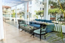 Magnolia by Da Alohas El Arbol