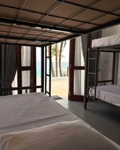 Surfing Tusker - Thalpe