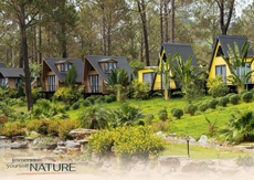 Phoenix Moc Chau Hotel