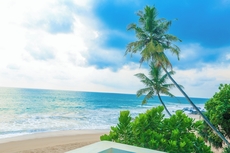 At Kelly's Ambalangoda