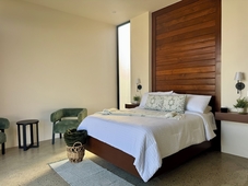 Ariche en Valle de Guadalupe