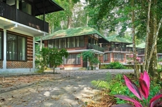 Rompin Rainforest Lodge