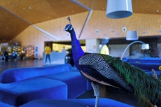 Zhi Resort Riverside